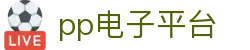 PP电子(中国大陆)官方网站